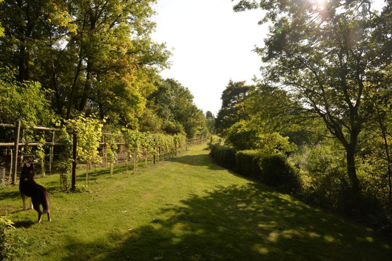 Thatchcombe B&B Wantage Exteriér fotografie