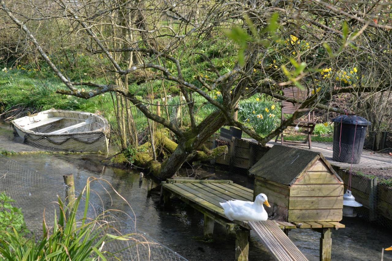 Thatchcombe B&B Wantage Exteriér fotografie